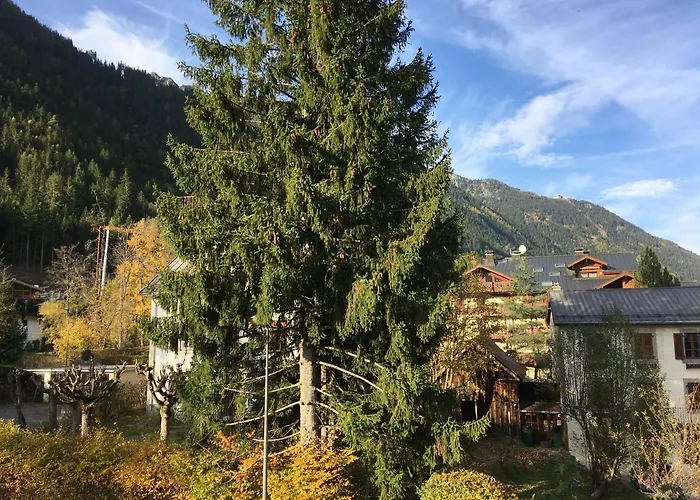 Aster Apartment Chamonix